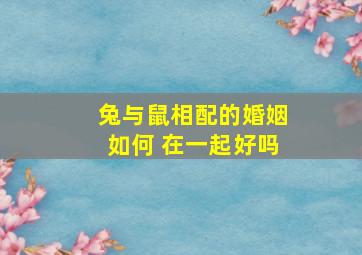 兔与鼠相配的婚姻如何 在一起好吗